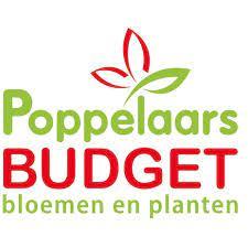poppelaars-budget-bloemen-en-planten-orogineel