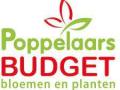 poppelaars-budget-bloemen-en-planten-orogineel